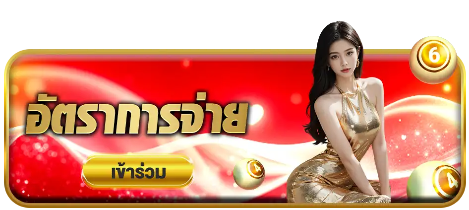 แบนเนอร์ 2